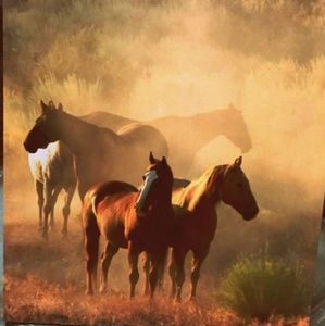 Meet your Posher, Yolanda